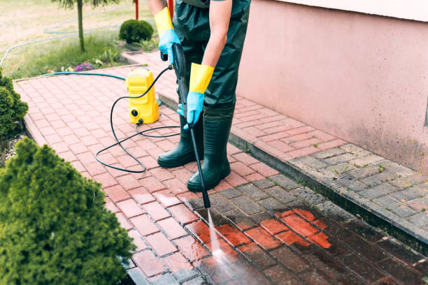 Best Best Pressure Washing Companies  in Houston, MS