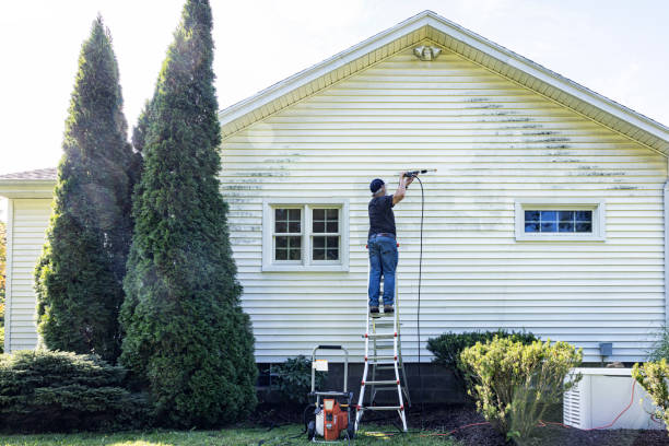 Best Best Pressure Washing Companies  in Houston, MS